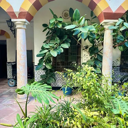 Apartment Tradicion De La Corredera